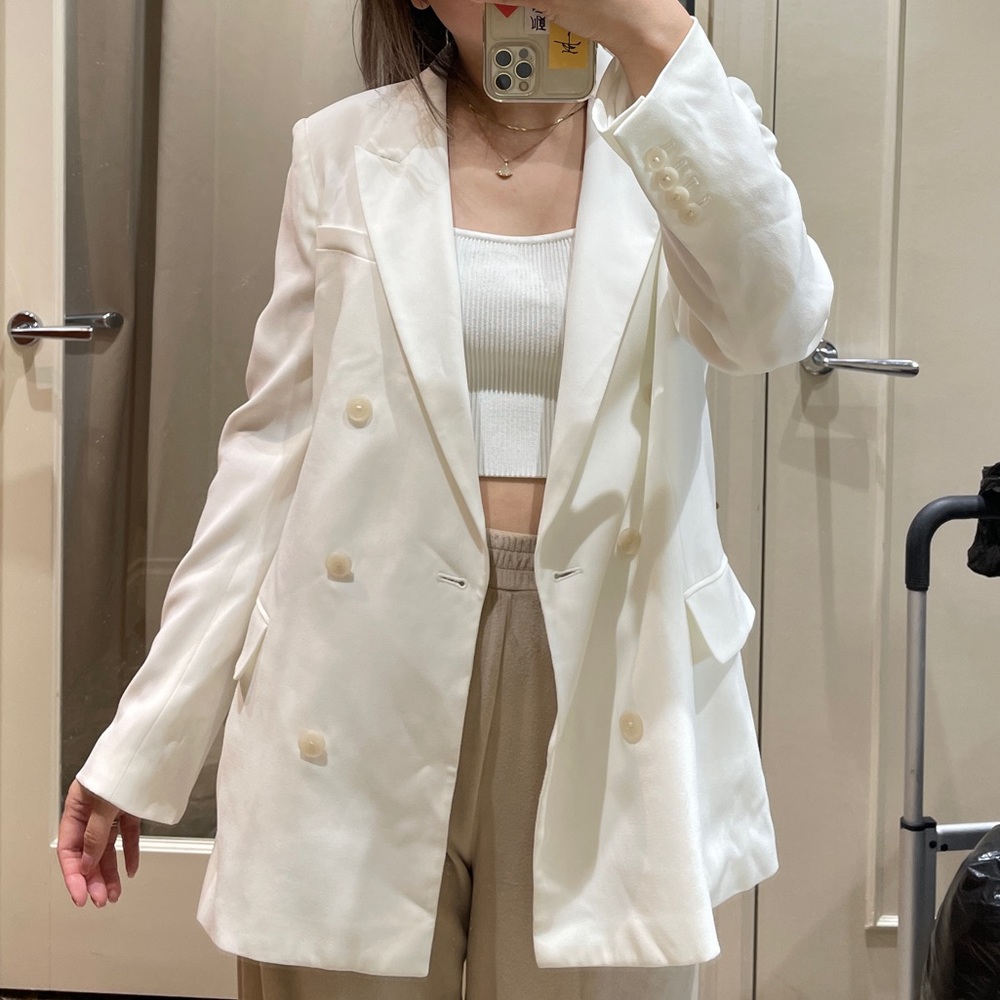 Babaton blazer Aritzia jacket